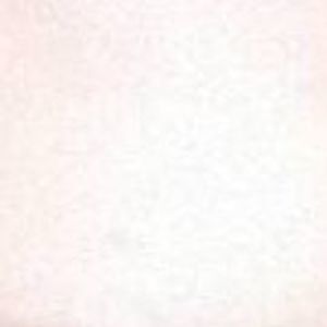 Meet your Posher, Logan